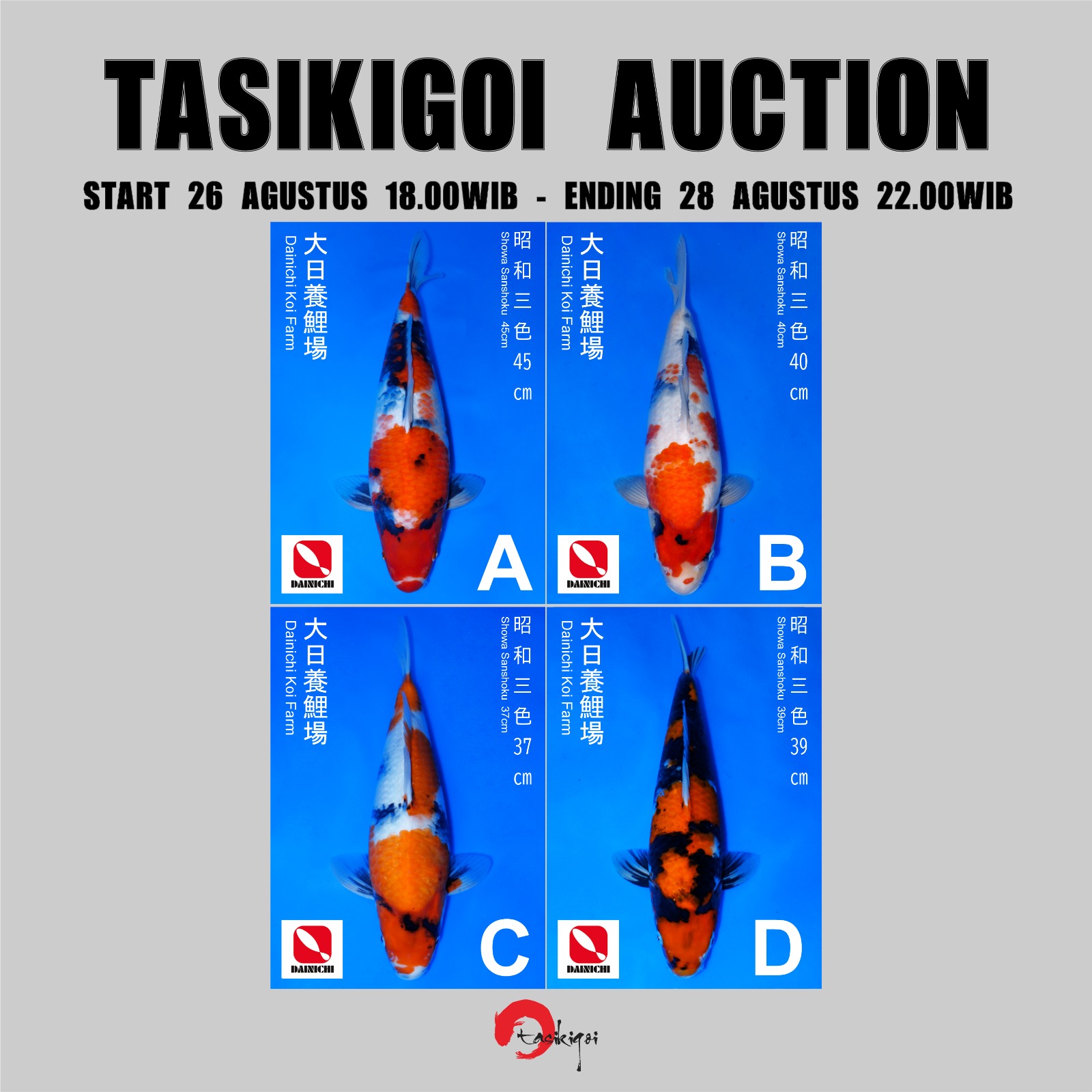 Lelang Koi Online, Jual Beli Ikan Koi, Pasar Koi Terbaik, Agen Lelang Koi, Penawaran Koi Berkualitas, Harga Jual Koi, Lelang Ikan Koi Import, Beli Koi Online, Jual Koi Murah, Koi Showroom, Penjual Koi Terpercaya, Lelang Koi Jakarta, Jual Koi Lokal, Koi Kualitas Unggul, Harga Terbaik Koi, Jual Koi Indukan, Lelang Ikan Hias Koi, Pasar Koi Indonesia, Beli Koi Berkualitas Tinggi, Koi Farm Terbesar, Jual Beli Koi Impor, Lelang Ikan Koi Kualitas Premium, Daftar Harga Koi Terbaru, Pusat Jual Beli Koi, Info Lelang Koi Hari Ini.