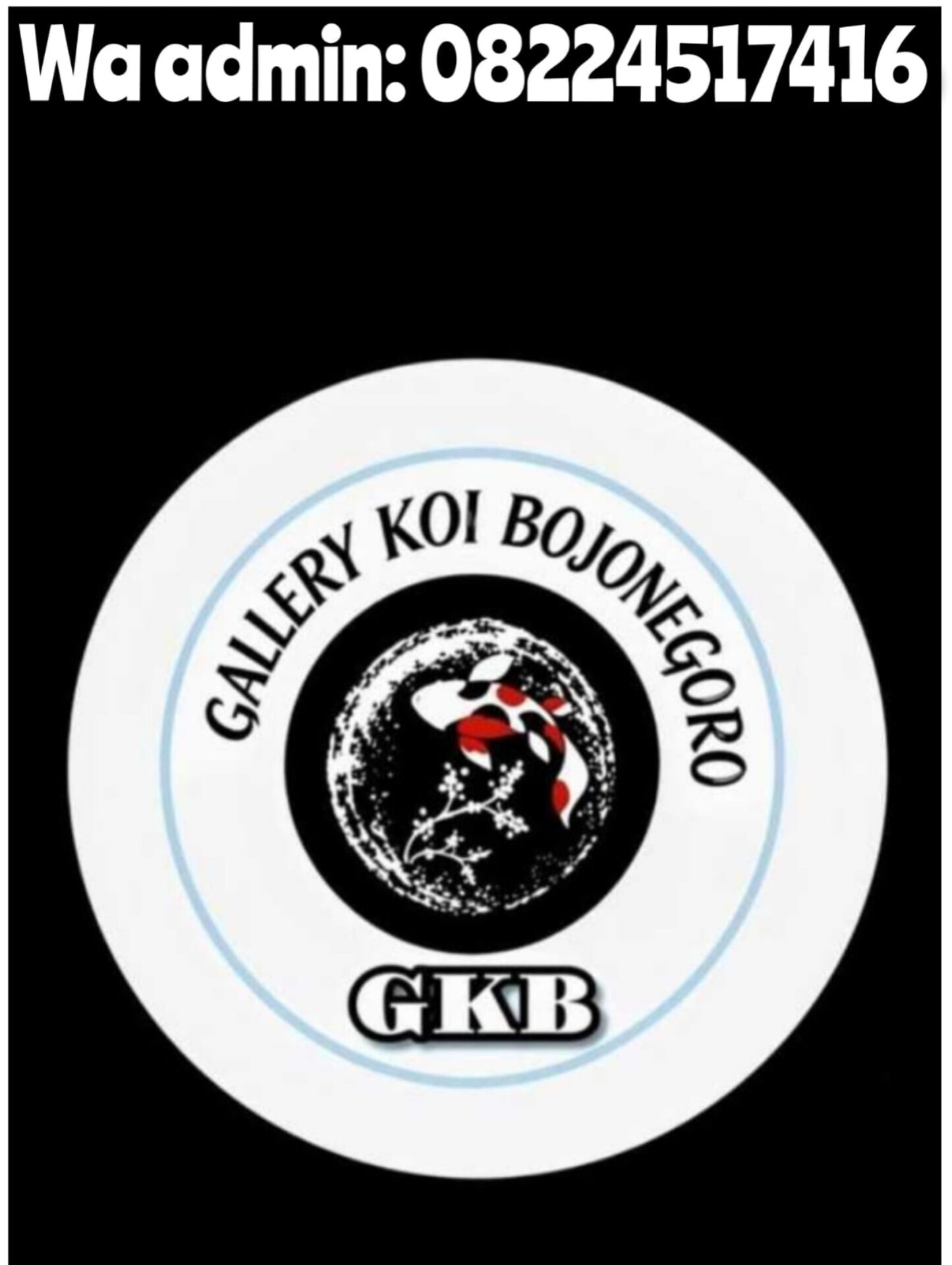 Lelang Koi Online, Jual Beli Ikan Koi, Pasar Koi Terbaik, Agen Lelang Koi, Penawaran Koi Berkualitas, Harga Jual Koi, Lelang Ikan Koi Import, Beli Koi Online, Jual Koi Murah, Koi Showroom, Penjual Koi Terpercaya, Lelang Koi Jakarta, Jual Koi Lokal, Koi Kualitas Unggul, Harga Terbaik Koi, Jual Koi Indukan, Lelang Ikan Hias Koi, Pasar Koi Indonesia, Beli Koi Berkualitas Tinggi, Koi Farm Terbesar, Jual Beli Koi Impor, Lelang Ikan Koi Kualitas Premium, Daftar Harga Koi Terbaru, Pusat Jual Beli Koi, Info Lelang Koi Hari Ini.