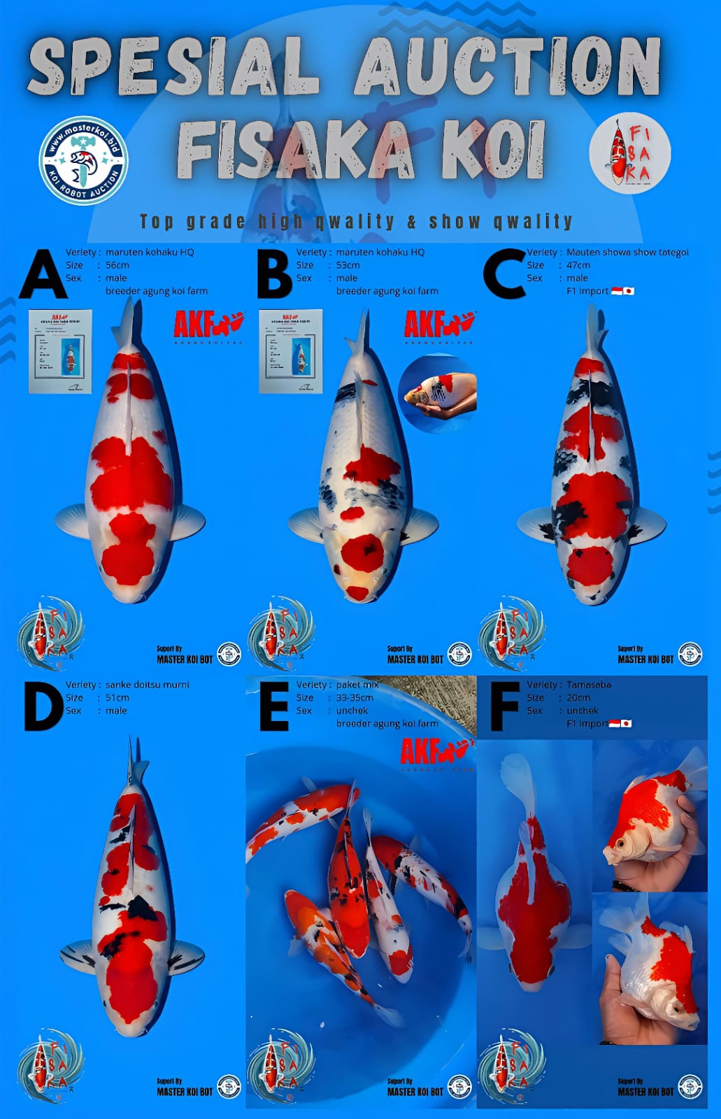 Lelang Koi Online, Jual Beli Ikan Koi, Pasar Koi Terbaik, Agen Lelang Koi, Penawaran Koi Berkualitas, Harga Jual Koi, Lelang Ikan Koi Import, Beli Koi Online, Jual Koi Murah, Koi Showroom, Penjual Koi Terpercaya, Lelang Koi Jakarta, Jual Koi Lokal, Koi Kualitas Unggul, Harga Terbaik Koi, Jual Koi Indukan, Lelang Ikan Hias Koi, Pasar Koi Indonesia, Beli Koi Berkualitas Tinggi, Koi Farm Terbesar, Jual Beli Koi Impor, Lelang Ikan Koi Kualitas Premium, Daftar Harga Koi Terbaru, Pusat Jual Beli Koi, Info Lelang Koi Hari Ini.
