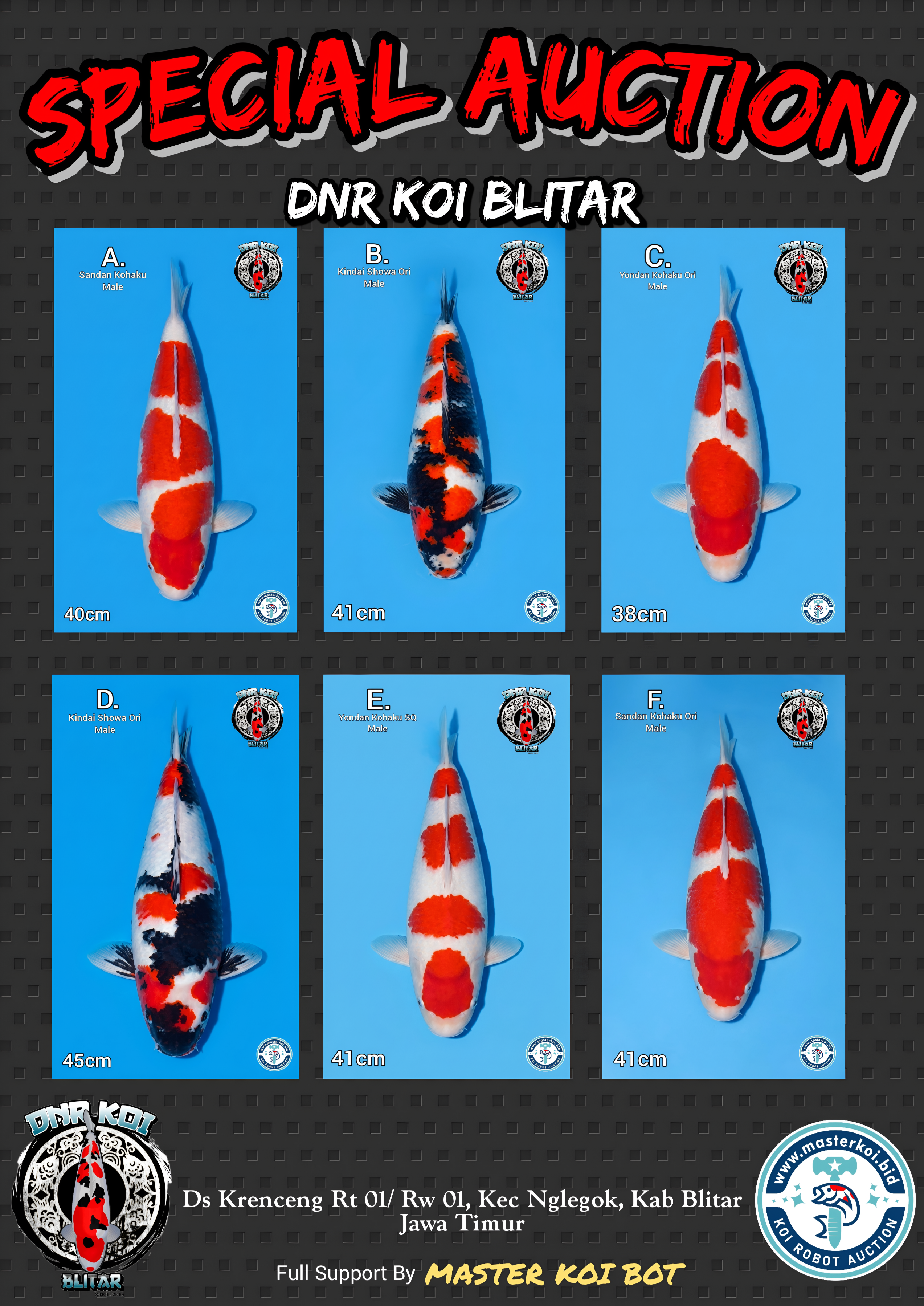 Lelang Koi Online, Jual Beli Ikan Koi, Pasar Koi Terbaik, Agen Lelang Koi, Penawaran Koi Berkualitas, Harga Jual Koi, Lelang Ikan Koi Import, Beli Koi Online, Jual Koi Murah, Koi Showroom, Penjual Koi Terpercaya, Lelang Koi Jakarta, Jual Koi Lokal, Koi Kualitas Unggul, Harga Terbaik Koi, Jual Koi Indukan, Lelang Ikan Hias Koi, Pasar Koi Indonesia, Beli Koi Berkualitas Tinggi, Koi Farm Terbesar, Jual Beli Koi Impor, Lelang Ikan Koi Kualitas Premium, Daftar Harga Koi Terbaru, Pusat Jual Beli Koi, Info Lelang Koi Hari Ini.