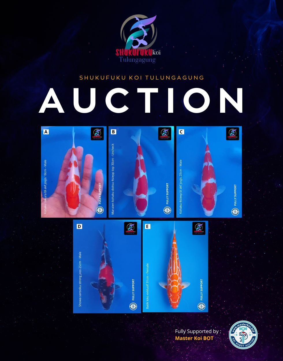 Lelang Koi Online, Jual Beli Ikan Koi, Pasar Koi Terbaik, Agen Lelang Koi, Penawaran Koi Berkualitas, Harga Jual Koi, Lelang Ikan Koi Import, Beli Koi Online, Jual Koi Murah, Koi Showroom, Penjual Koi Terpercaya, Lelang Koi Jakarta, Jual Koi Lokal, Koi Kualitas Unggul, Harga Terbaik Koi, Jual Koi Indukan, Lelang Ikan Hias Koi, Pasar Koi Indonesia, Beli Koi Berkualitas Tinggi, Koi Farm Terbesar, Jual Beli Koi Impor, Lelang Ikan Koi Kualitas Premium, Daftar Harga Koi Terbaru, Pusat Jual Beli Koi, Info Lelang Koi Hari Ini.