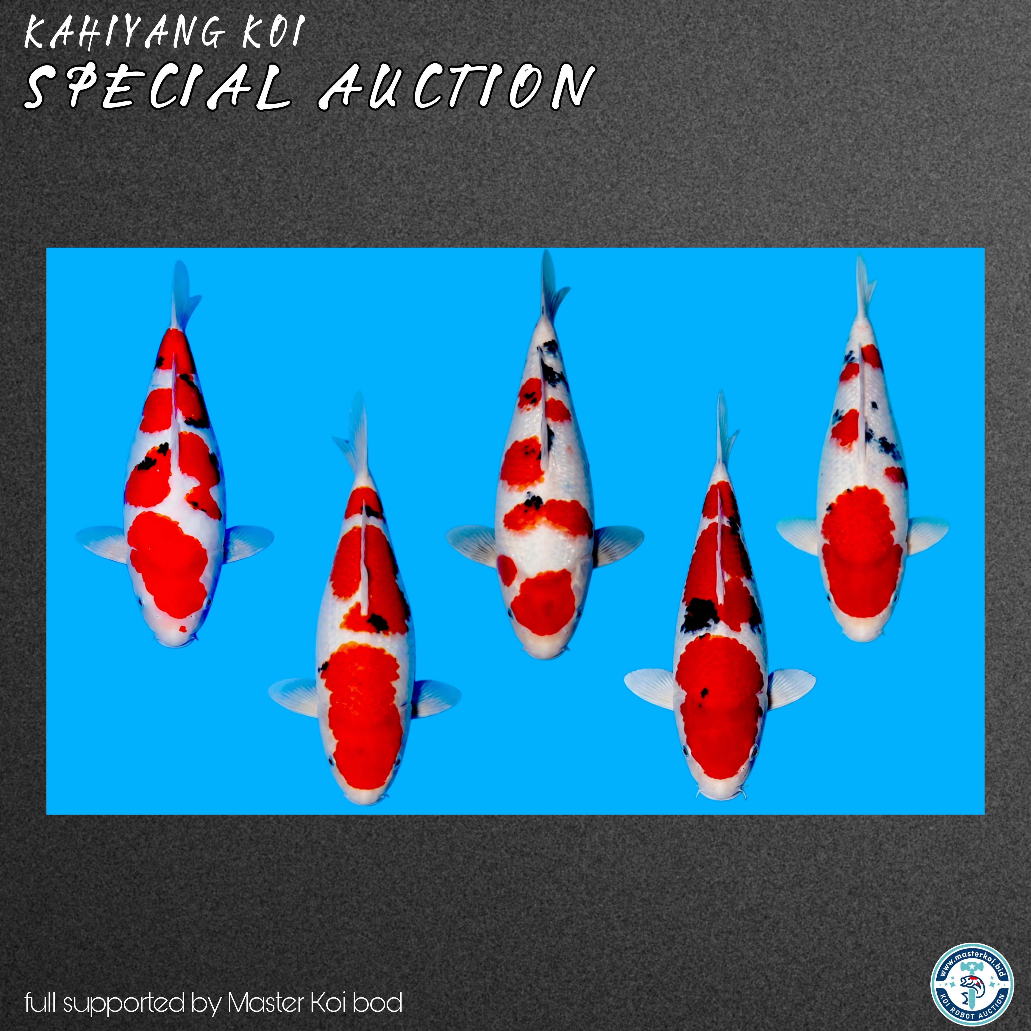 Lelang Koi Online, Jual Beli Ikan Koi, Pasar Koi Terbaik, Agen Lelang Koi, Penawaran Koi Berkualitas, Harga Jual Koi, Lelang Ikan Koi Import, Beli Koi Online, Jual Koi Murah, Koi Showroom, Penjual Koi Terpercaya, Lelang Koi Jakarta, Jual Koi Lokal, Koi Kualitas Unggul, Harga Terbaik Koi, Jual Koi Indukan, Lelang Ikan Hias Koi, Pasar Koi Indonesia, Beli Koi Berkualitas Tinggi, Koi Farm Terbesar, Jual Beli Koi Impor, Lelang Ikan Koi Kualitas Premium, Daftar Harga Koi Terbaru, Pusat Jual Beli Koi, Info Lelang Koi Hari Ini.