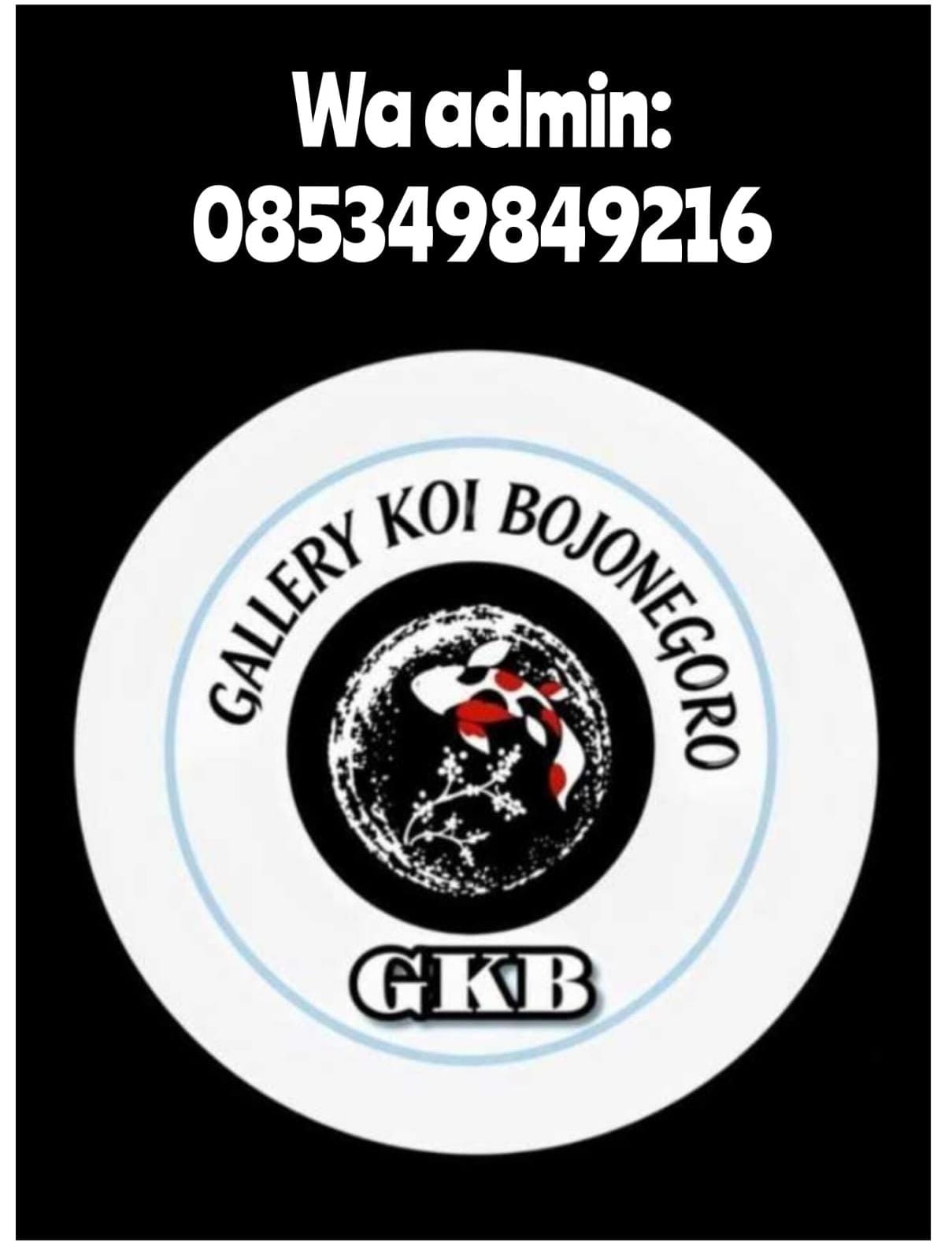 Lelang Koi Online, Jual Beli Ikan Koi, Pasar Koi Terbaik, Agen Lelang Koi, Penawaran Koi Berkualitas, Harga Jual Koi, Lelang Ikan Koi Import, Beli Koi Online, Jual Koi Murah, Koi Showroom, Penjual Koi Terpercaya, Lelang Koi Jakarta, Jual Koi Lokal, Koi Kualitas Unggul, Harga Terbaik Koi, Jual Koi Indukan, Lelang Ikan Hias Koi, Pasar Koi Indonesia, Beli Koi Berkualitas Tinggi, Koi Farm Terbesar, Jual Beli Koi Impor, Lelang Ikan Koi Kualitas Premium, Daftar Harga Koi Terbaru, Pusat Jual Beli Koi, Info Lelang Koi Hari Ini.