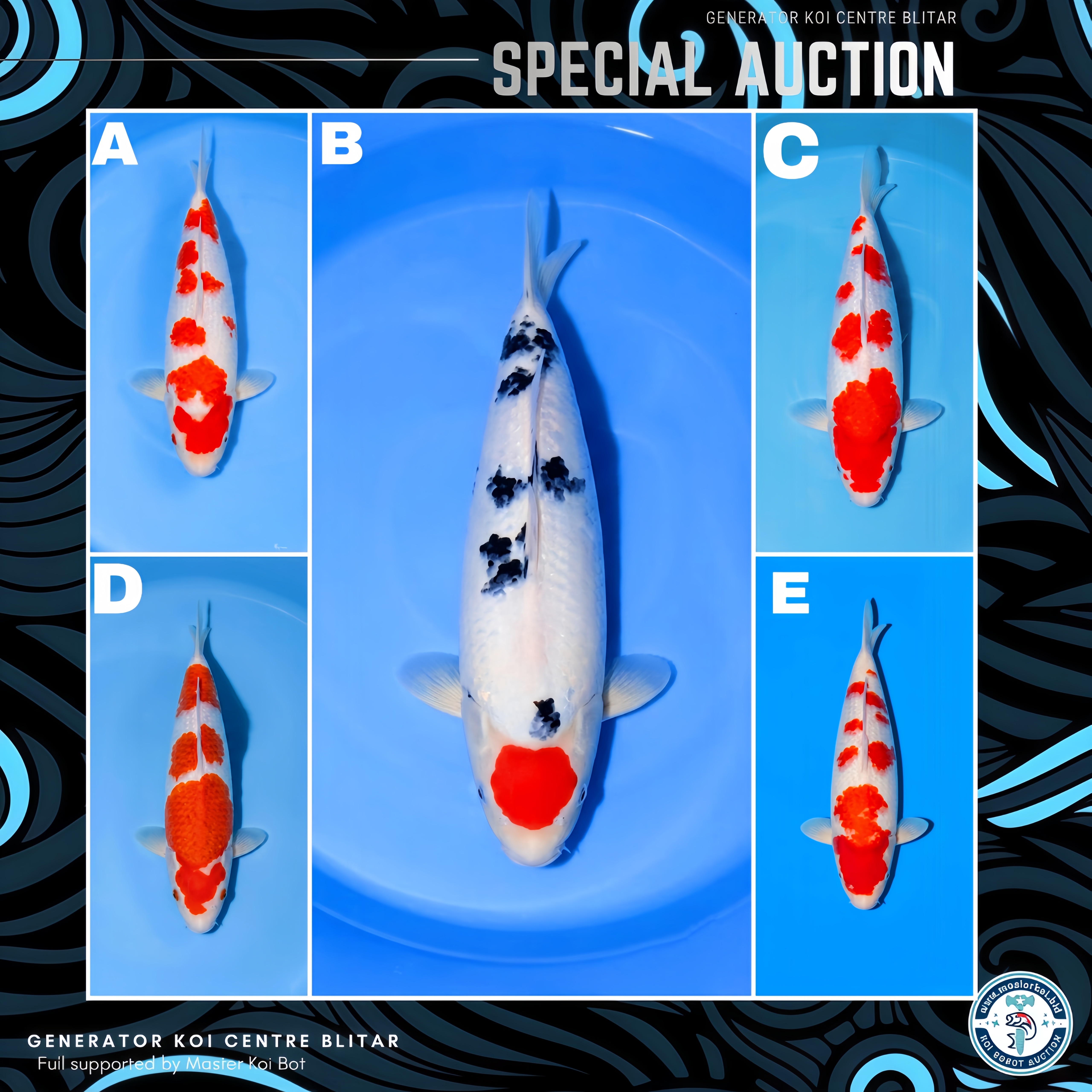 Lelang Koi Online, Jual Beli Ikan Koi, Pasar Koi Terbaik, Agen Lelang Koi, Penawaran Koi Berkualitas, Harga Jual Koi, Lelang Ikan Koi Import, Beli Koi Online, Jual Koi Murah, Koi Showroom, Penjual Koi Terpercaya, Lelang Koi Jakarta, Jual Koi Lokal, Koi Kualitas Unggul, Harga Terbaik Koi, Jual Koi Indukan, Lelang Ikan Hias Koi, Pasar Koi Indonesia, Beli Koi Berkualitas Tinggi, Koi Farm Terbesar, Jual Beli Koi Impor, Lelang Ikan Koi Kualitas Premium, Daftar Harga Koi Terbaru, Pusat Jual Beli Koi, Info Lelang Koi Hari Ini.