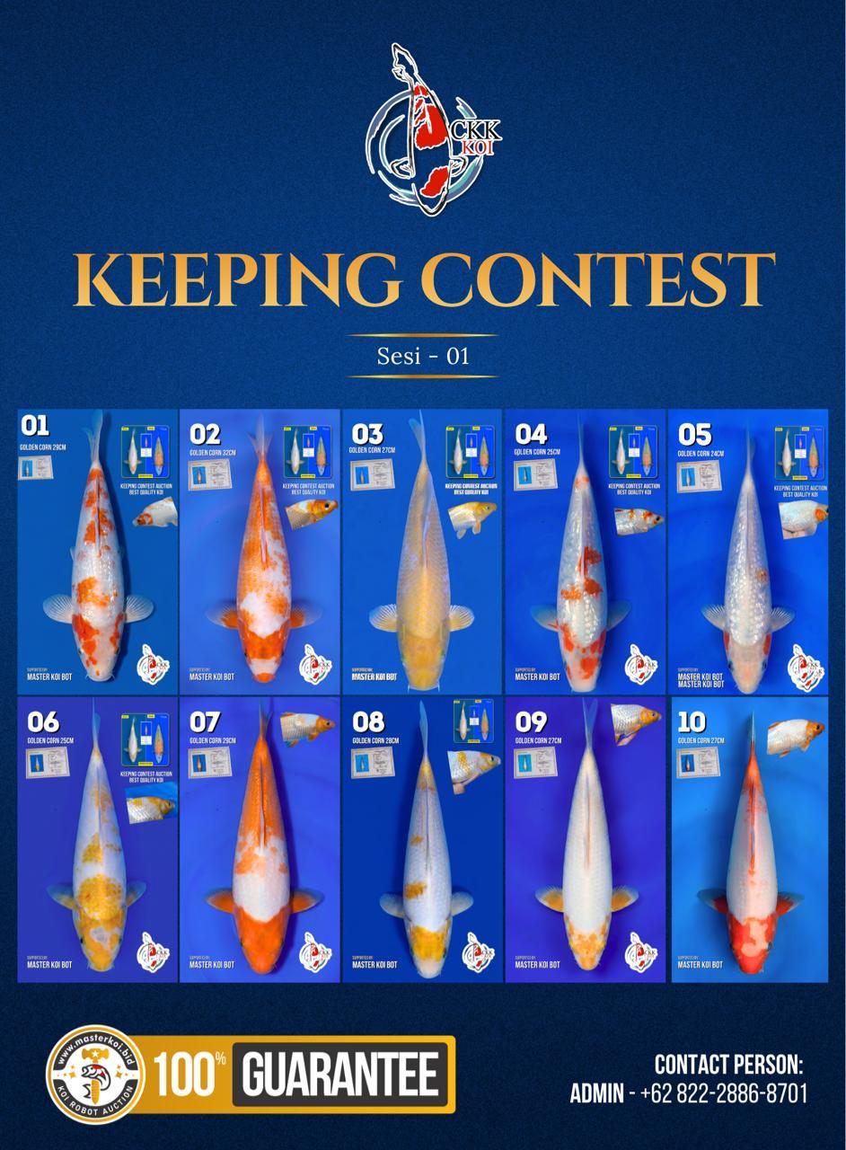 Lelang Koi Online, Jual Beli Ikan Koi, Pasar Koi Terbaik, Agen Lelang Koi, Penawaran Koi Berkualitas, Harga Jual Koi, Lelang Ikan Koi Import, Beli Koi Online, Jual Koi Murah, Koi Showroom, Penjual Koi Terpercaya, Lelang Koi Jakarta, Jual Koi Lokal, Koi Kualitas Unggul, Harga Terbaik Koi, Jual Koi Indukan, Lelang Ikan Hias Koi, Pasar Koi Indonesia, Beli Koi Berkualitas Tinggi, Koi Farm Terbesar, Jual Beli Koi Impor, Lelang Ikan Koi Kualitas Premium, Daftar Harga Koi Terbaru, Pusat Jual Beli Koi, Info Lelang Koi Hari Ini.