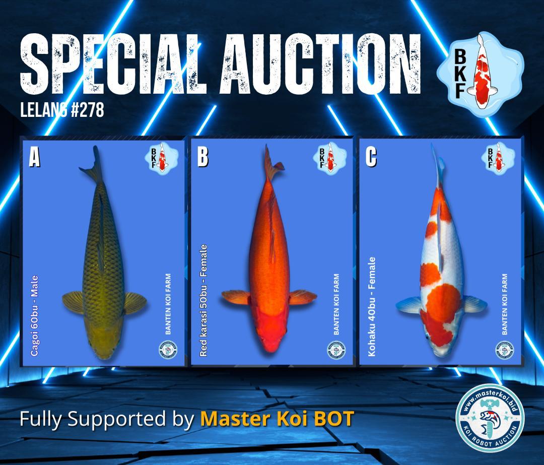 Lelang Koi Online, Jual Beli Ikan Koi, Pasar Koi Terbaik, Agen Lelang Koi, Penawaran Koi Berkualitas, Harga Jual Koi, Lelang Ikan Koi Import, Beli Koi Online, Jual Koi Murah, Koi Showroom, Penjual Koi Terpercaya, Lelang Koi Jakarta, Jual Koi Lokal, Koi Kualitas Unggul, Harga Terbaik Koi, Jual Koi Indukan, Lelang Ikan Hias Koi, Pasar Koi Indonesia, Beli Koi Berkualitas Tinggi, Koi Farm Terbesar, Jual Beli Koi Impor, Lelang Ikan Koi Kualitas Premium, Daftar Harga Koi Terbaru, Pusat Jual Beli Koi, Info Lelang Koi Hari Ini.
