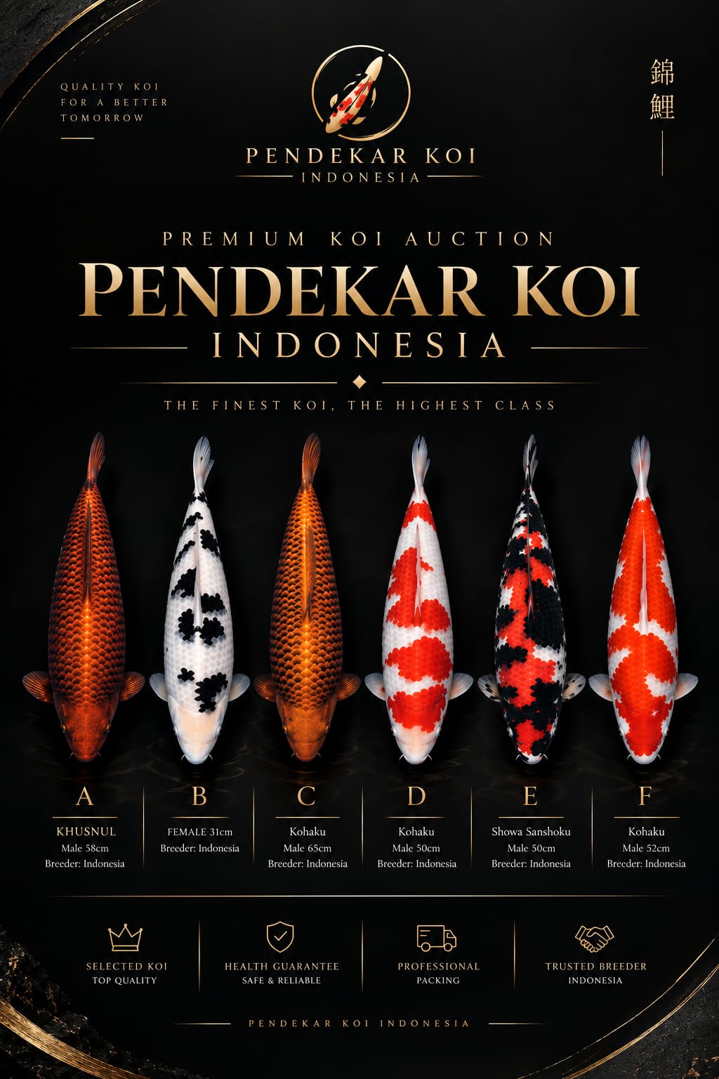 Lelang Koi Online, Jual Beli Ikan Koi, Pasar Koi Terbaik, Agen Lelang Koi, Penawaran Koi Berkualitas, Harga Jual Koi, Lelang Ikan Koi Import, Beli Koi Online, Jual Koi Murah, Koi Showroom, Penjual Koi Terpercaya, Lelang Koi Jakarta, Jual Koi Lokal, Koi Kualitas Unggul, Harga Terbaik Koi, Jual Koi Indukan, Lelang Ikan Hias Koi, Pasar Koi Indonesia, Beli Koi Berkualitas Tinggi, Koi Farm Terbesar, Jual Beli Koi Impor, Lelang Ikan Koi Kualitas Premium, Daftar Harga Koi Terbaru, Pusat Jual Beli Koi, Info Lelang Koi Hari Ini.