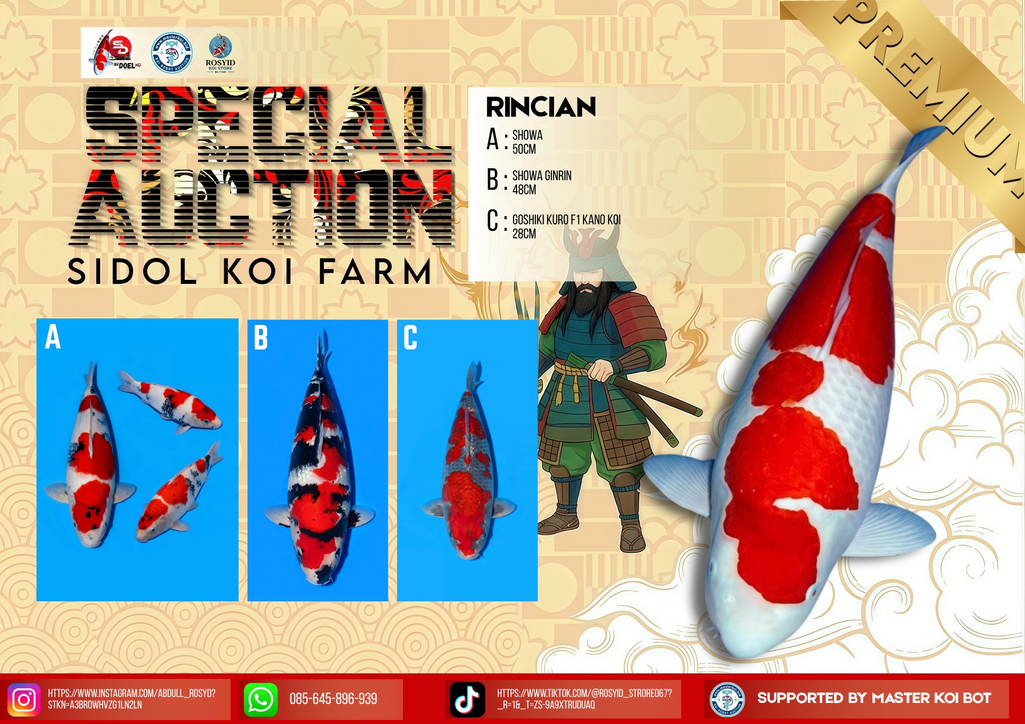 Lelang Koi Online, Jual Beli Ikan Koi, Pasar Koi Terbaik, Agen Lelang Koi, Penawaran Koi Berkualitas, Harga Jual Koi, Lelang Ikan Koi Import, Beli Koi Online, Jual Koi Murah, Koi Showroom, Penjual Koi Terpercaya, Lelang Koi Jakarta, Jual Koi Lokal, Koi Kualitas Unggul, Harga Terbaik Koi, Jual Koi Indukan, Lelang Ikan Hias Koi, Pasar Koi Indonesia, Beli Koi Berkualitas Tinggi, Koi Farm Terbesar, Jual Beli Koi Impor, Lelang Ikan Koi Kualitas Premium, Daftar Harga Koi Terbaru, Pusat Jual Beli Koi, Info Lelang Koi Hari Ini.