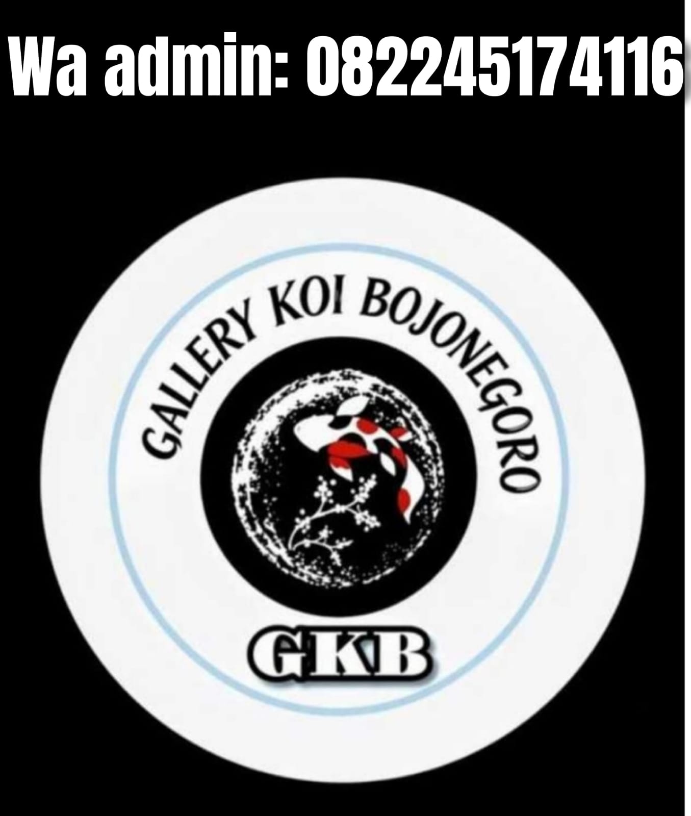 Lelang Koi Online, Jual Beli Ikan Koi, Pasar Koi Terbaik, Agen Lelang Koi, Penawaran Koi Berkualitas, Harga Jual Koi, Lelang Ikan Koi Import, Beli Koi Online, Jual Koi Murah, Koi Showroom, Penjual Koi Terpercaya, Lelang Koi Jakarta, Jual Koi Lokal, Koi Kualitas Unggul, Harga Terbaik Koi, Jual Koi Indukan, Lelang Ikan Hias Koi, Pasar Koi Indonesia, Beli Koi Berkualitas Tinggi, Koi Farm Terbesar, Jual Beli Koi Impor, Lelang Ikan Koi Kualitas Premium, Daftar Harga Koi Terbaru, Pusat Jual Beli Koi, Info Lelang Koi Hari Ini.