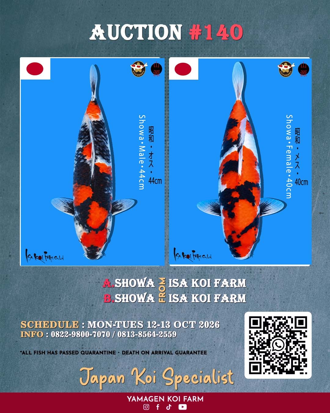 Lelang Koi Online, Jual Beli Ikan Koi, Pasar Koi Terbaik, Agen Lelang Koi, Penawaran Koi Berkualitas, Harga Jual Koi, Lelang Ikan Koi Import, Beli Koi Online, Jual Koi Murah, Koi Showroom, Penjual Koi Terpercaya, Lelang Koi Jakarta, Jual Koi Lokal, Koi Kualitas Unggul, Harga Terbaik Koi, Jual Koi Indukan, Lelang Ikan Hias Koi, Pasar Koi Indonesia, Beli Koi Berkualitas Tinggi, Koi Farm Terbesar, Jual Beli Koi Impor, Lelang Ikan Koi Kualitas Premium, Daftar Harga Koi Terbaru, Pusat Jual Beli Koi, Info Lelang Koi Hari Ini.