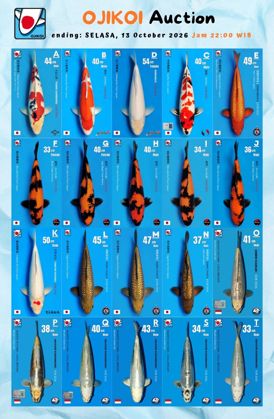 Lelang Koi Online, Jual Beli Ikan Koi, Pasar Koi Terbaik, Agen Lelang Koi, Penawaran Koi Berkualitas, Harga Jual Koi, Lelang Ikan Koi Import, Beli Koi Online, Jual Koi Murah, Koi Showroom, Penjual Koi Terpercaya, Lelang Koi Jakarta, Jual Koi Lokal, Koi Kualitas Unggul, Harga Terbaik Koi, Jual Koi Indukan, Lelang Ikan Hias Koi, Pasar Koi Indonesia, Beli Koi Berkualitas Tinggi, Koi Farm Terbesar, Jual Beli Koi Impor, Lelang Ikan Koi Kualitas Premium, Daftar Harga Koi Terbaru, Pusat Jual Beli Koi, Info Lelang Koi Hari Ini.