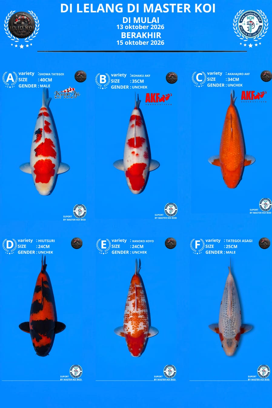 Lelang Koi Online, Jual Beli Ikan Koi, Pasar Koi Terbaik, Agen Lelang Koi, Penawaran Koi Berkualitas, Harga Jual Koi, Lelang Ikan Koi Import, Beli Koi Online, Jual Koi Murah, Koi Showroom, Penjual Koi Terpercaya, Lelang Koi Jakarta, Jual Koi Lokal, Koi Kualitas Unggul, Harga Terbaik Koi, Jual Koi Indukan, Lelang Ikan Hias Koi, Pasar Koi Indonesia, Beli Koi Berkualitas Tinggi, Koi Farm Terbesar, Jual Beli Koi Impor, Lelang Ikan Koi Kualitas Premium, Daftar Harga Koi Terbaru, Pusat Jual Beli Koi, Info Lelang Koi Hari Ini.
