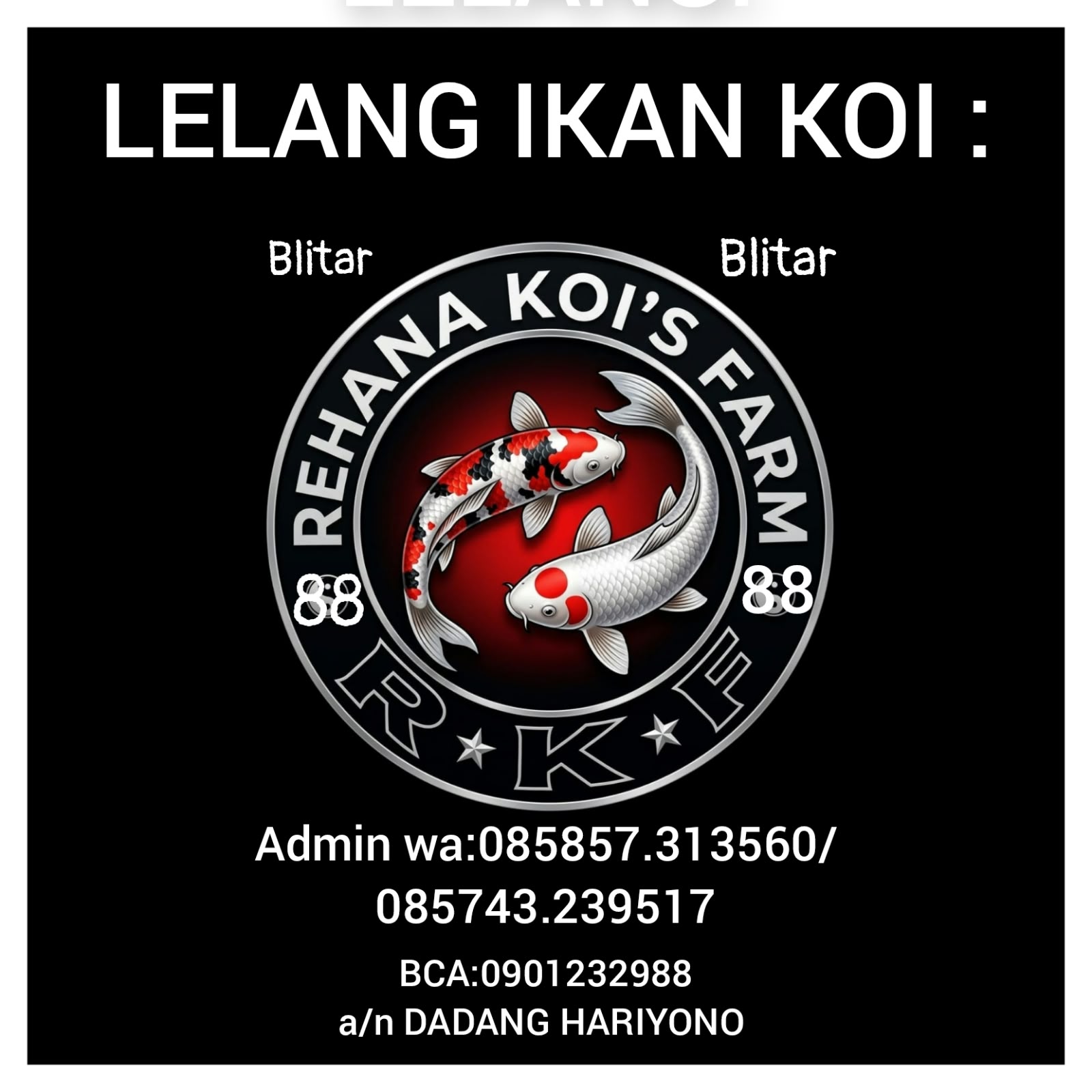 Lelang Koi Online, Jual Beli Ikan Koi, Pasar Koi Terbaik, Agen Lelang Koi, Penawaran Koi Berkualitas, Harga Jual Koi, Lelang Ikan Koi Import, Beli Koi Online, Jual Koi Murah, Koi Showroom, Penjual Koi Terpercaya, Lelang Koi Jakarta, Jual Koi Lokal, Koi Kualitas Unggul, Harga Terbaik Koi, Jual Koi Indukan, Lelang Ikan Hias Koi, Pasar Koi Indonesia, Beli Koi Berkualitas Tinggi, Koi Farm Terbesar, Jual Beli Koi Impor, Lelang Ikan Koi Kualitas Premium, Daftar Harga Koi Terbaru, Pusat Jual Beli Koi, Info Lelang Koi Hari Ini.